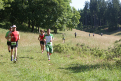 altmuehltrail_2014_20140707_1897884812
