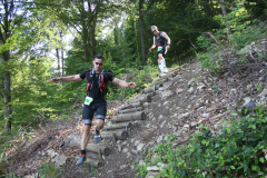 altmuehltrail_2014_20140707_1909130087