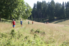 altmuehltrail_2014_20140707_1947842252