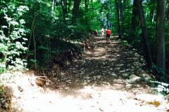 altmuehltrail_2014_20140707_1997997316