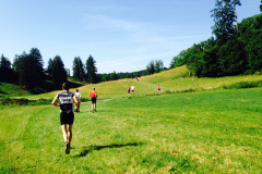 altmuehltrail_2014_20140707_2023147082