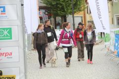 Altmühltrail 2015 Trail und Wandern Tag 1 - Samstag Gunzenhausen