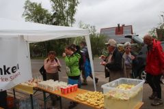 Altmühltrail 2015 Trail und Wandern - Sonntag Gunzenhausen
