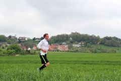 Altmühltrail 2015 - Impressionen Strecke