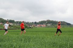 Altmühltrail 2015 - Impressionen Strecke