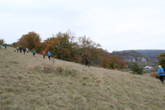 Altmühltrail 2016 - Dollnstein