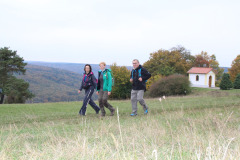 Altmühltrail 2016 - Dollnstein