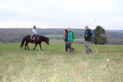 Altmühltrail 2016 - Dollnstein