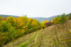 altmuehltrail_2016_200_20161024_1849150157
