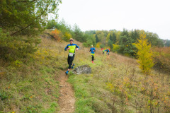 altmuehltrail_2016_201_20161024_1183552567