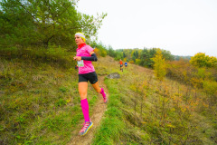 altmuehltrail_2016_203_20161024_1990213846