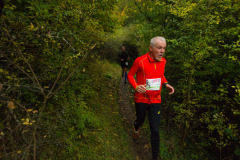 Altmühltrail 2016 - Dollnstein