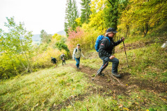 Altmühltrail 2016 - Dollnstein
