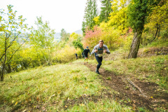 Altmühltrail 2016 - Dollnstein