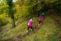 Altmühltrail 2016 - Dollnstein