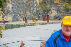 altmuehltrail_2016_245_20161024_1928793181