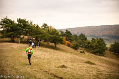 altmuehltrail_2016_304_20161024_1826514925