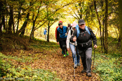 altmuehltrail_2016_312_20161024_2010145648