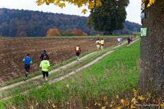 Altmühltrail 2016 - Dollnstein