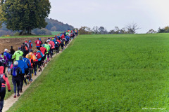 Altmühltrail 2016 - Dollnstein