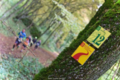Altmühltrail 2016 - Dollnstein