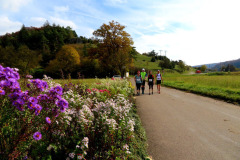 altmuehltrail_2017_20171128_1725292870