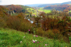 altmuehltrail_2017_20171128_1947751751