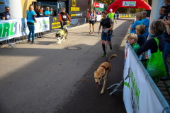 altmuehltrail_2017_20171128_1994849279
