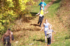 amt_2017_20171204_1661005029