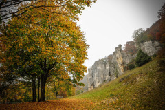 Altmühltrail 2018