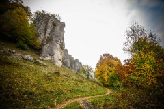 altmuehltrail_2018_16_20181102_1341391396