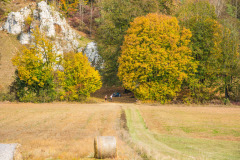 altmuehltrail_2018_20181102_1056047634