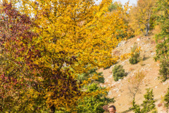 altmuehltrail_2018_20181102_1056801349