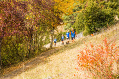 altmuehltrail_2018_20181102_1074981087