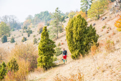 altmuehltrail_2018_20181102_1105817601