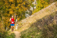 altmuehltrail_2018_20181102_1207168908