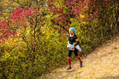 altmuehltrail_2018_20181102_1235991940