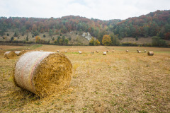 altmuehltrail_2018_20181102_1256831534