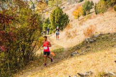 altmuehltrail_2018_20181102_1268614848