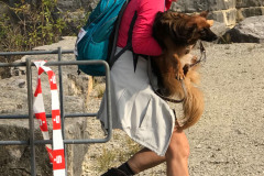 altmuehltrail_2018_20181102_1283907609