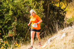 altmuehltrail_2018_20181102_1316197096