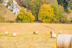 altmuehltrail_2018_20181102_1316603118
