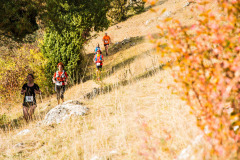 altmuehltrail_2018_20181102_1331866431