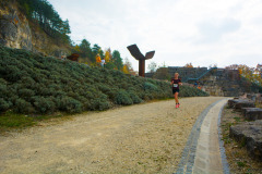altmuehltrail_2018_20181102_1372341582
