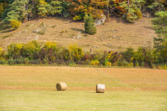 altmuehltrail_2018_20181102_1393006055