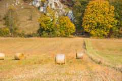 altmuehltrail_2018_20181102_1409703540