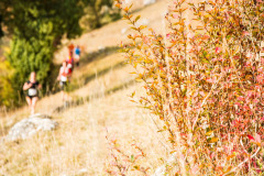 altmuehltrail_2018_20181102_1436232559