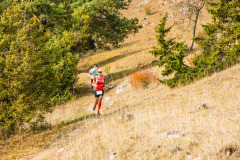 altmuehltrail_2018_20181102_1449463598