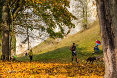 altmuehltrail_2018_20181102_1479842013