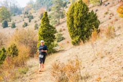 altmuehltrail_2018_20181102_1494874043